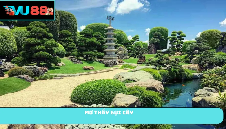 VU88 Mơ Thấy Bụi Cây Là Điềm Gì? Giải Mã Chi Tiết Và Số May Mắn