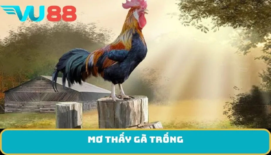 VU88 Mơ Thấy Gà Trống - Điềm Báo Và Bí Mật Tâm Linh Chưa Tiết Lộ