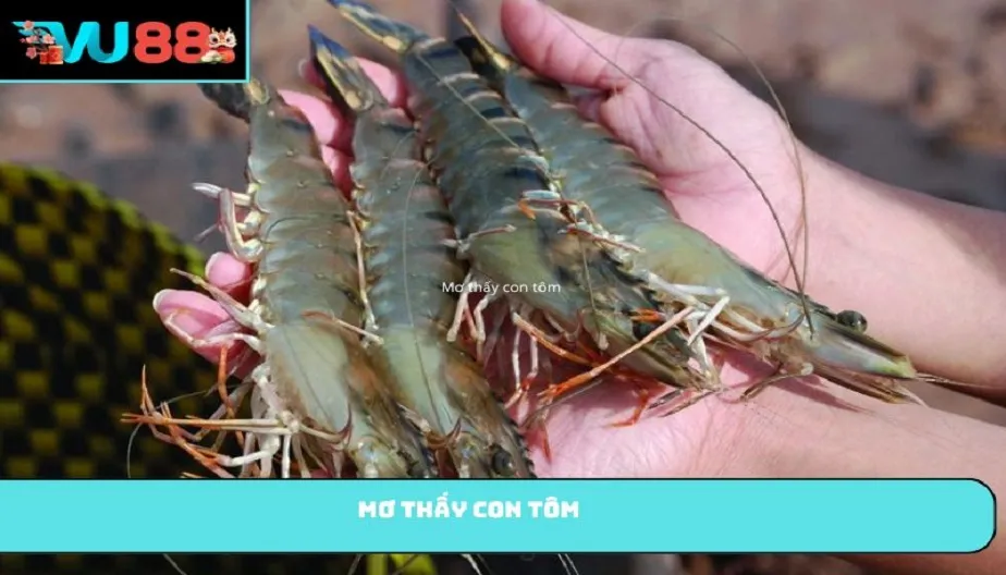 VU88 Mơ Thấy Con Tôm – Giải Mã Chi Tiết Từng Con Số Liên Quan