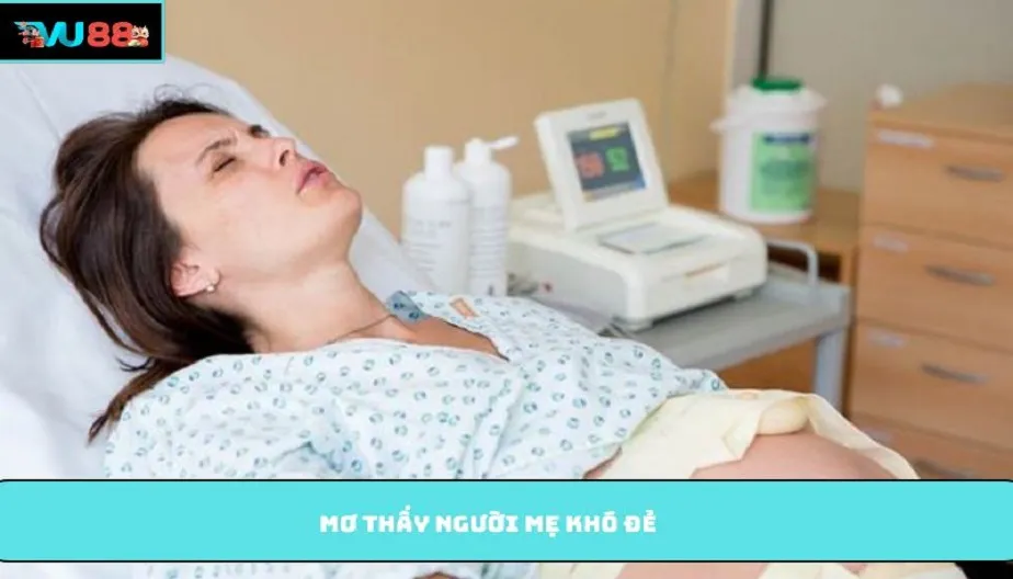 VU88 Mơ Thấy Người Mẹ Khó Đẻ Và Những Điềm Báo Đáng Chú Ý
