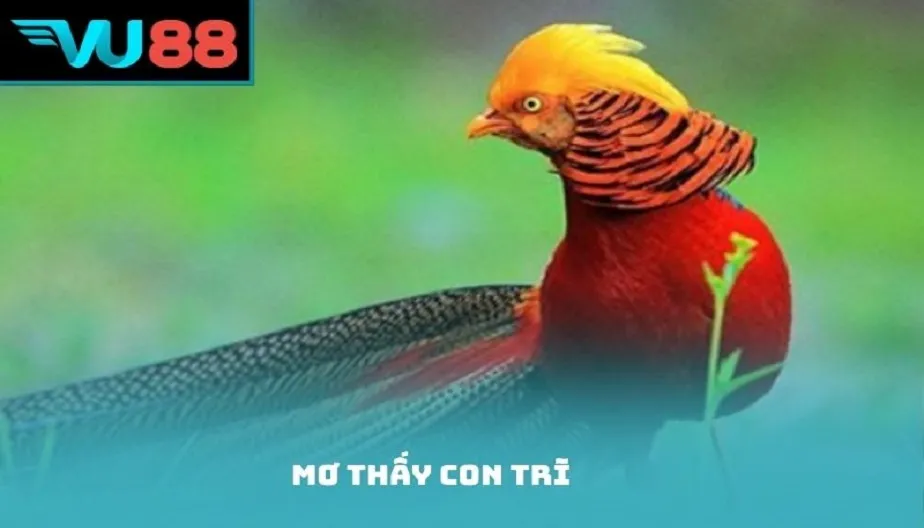 VU88 Mơ Thấy Con Trĩ - Giải mMã Điềm Báo Cùng Con Số May Mắn