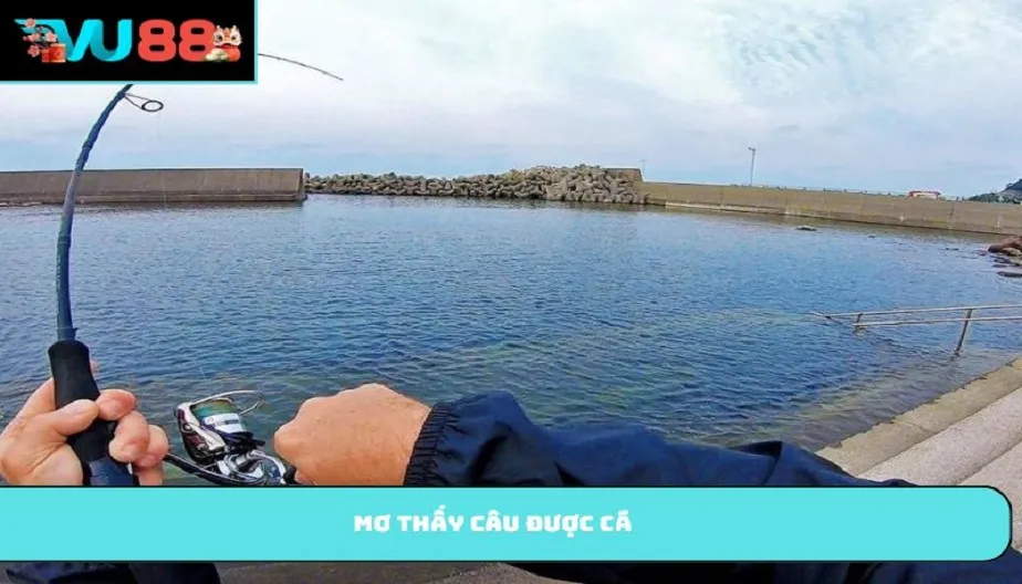VU88 Mơ Thấy Câu Được Cá - Giải Mã Chi Tiết Và Con Số May Mắn