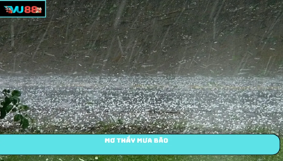 VU88 Mơ Thấy Mưa Bão Là Điềm Gì? Giải Mã Chi Tiết Từng Trường Hợp