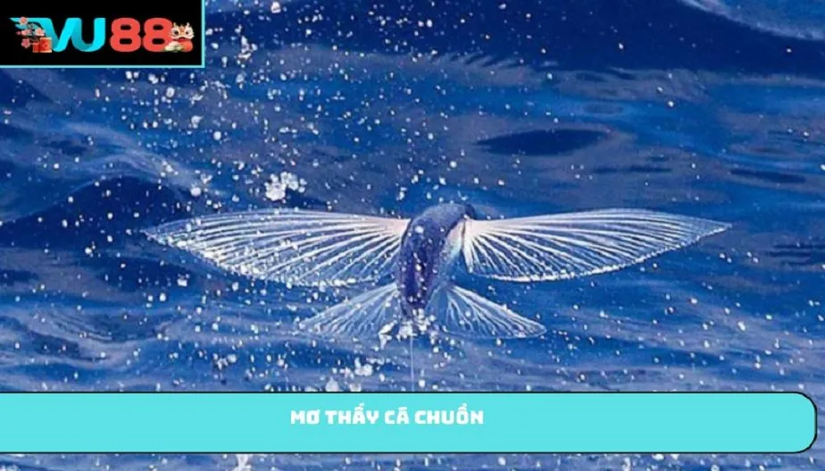 VU88 Mơ Thấy Cá Chuồn - Giải Đáp Mọi Thắc Mắc Và Con Số May Mắn