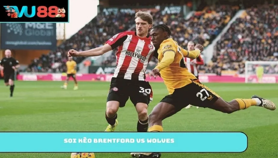 VU88 Soi Kèo Brentford Vs Wolves – Nhận Định 03h00 17/03/2026