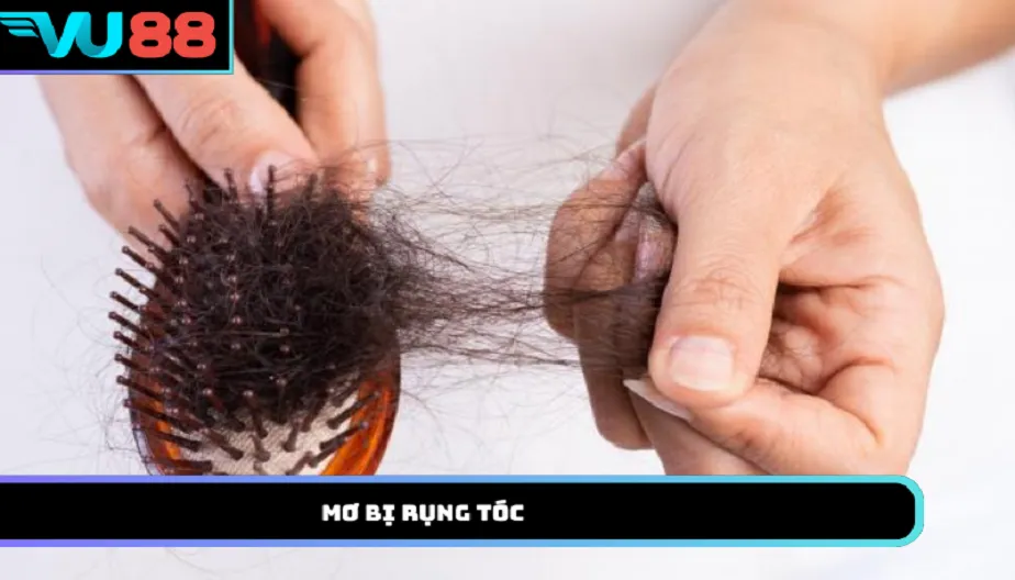 VU88 Mơ Bị Rụng Tóc - Giải Mã Điềm Báo Từ Những Chi Tiết Nhỏ