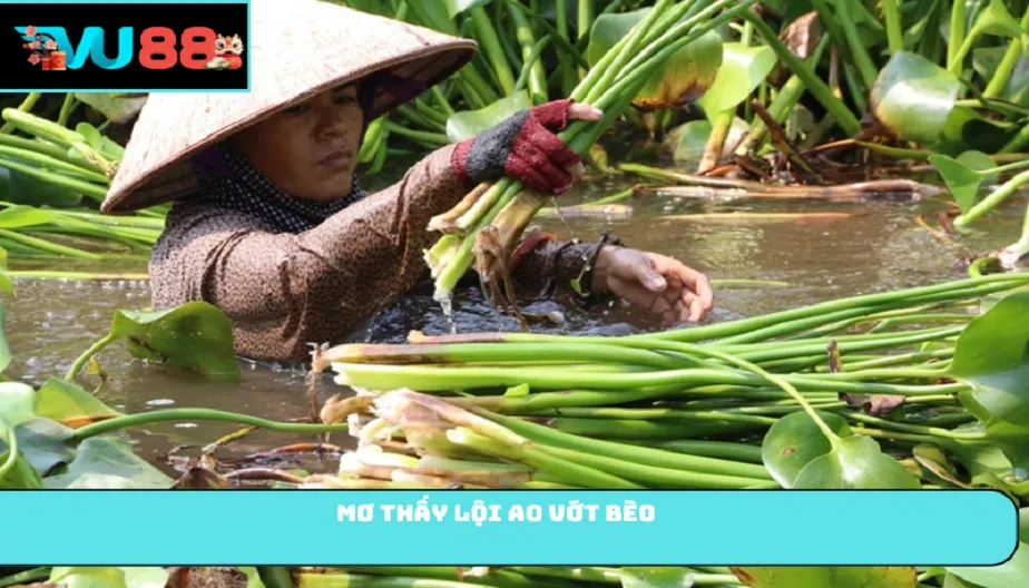 VU88 Mơ Thấy Lội Ao Vớt Bèo Và Các Điềm Báo Bất Ngờ Về Tương Lai