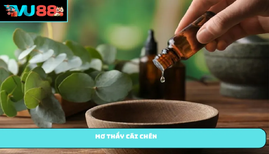 VU88 Mơ Thấy Cái Chén - Giải Mã Giấc Mơ Chứa Nhiều Điều Bí Ẩn