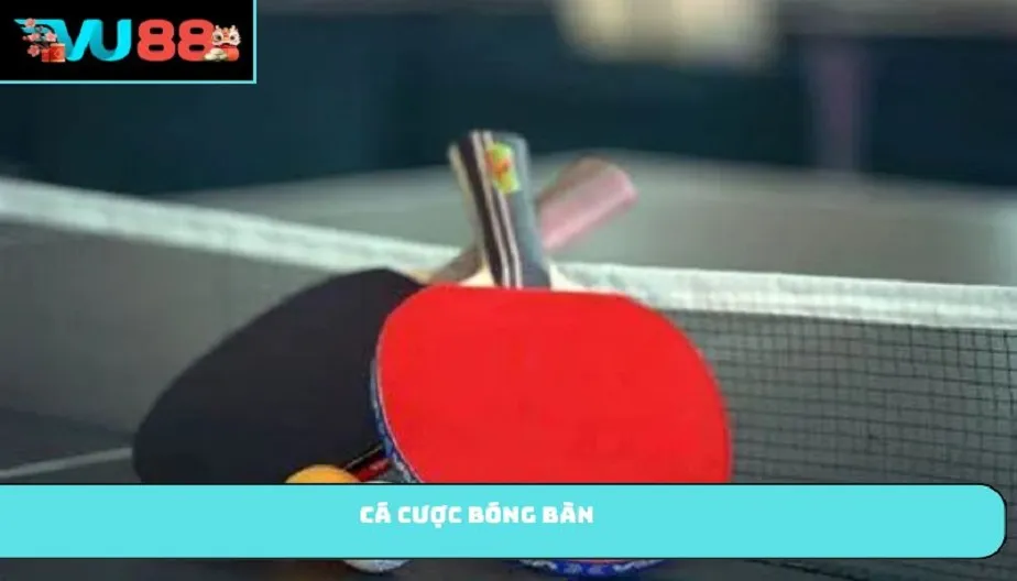VU88 Cá Cược Bóng Bàn – Hướng Dẫn Chi Tiết Và Chiến Thuật Thắng